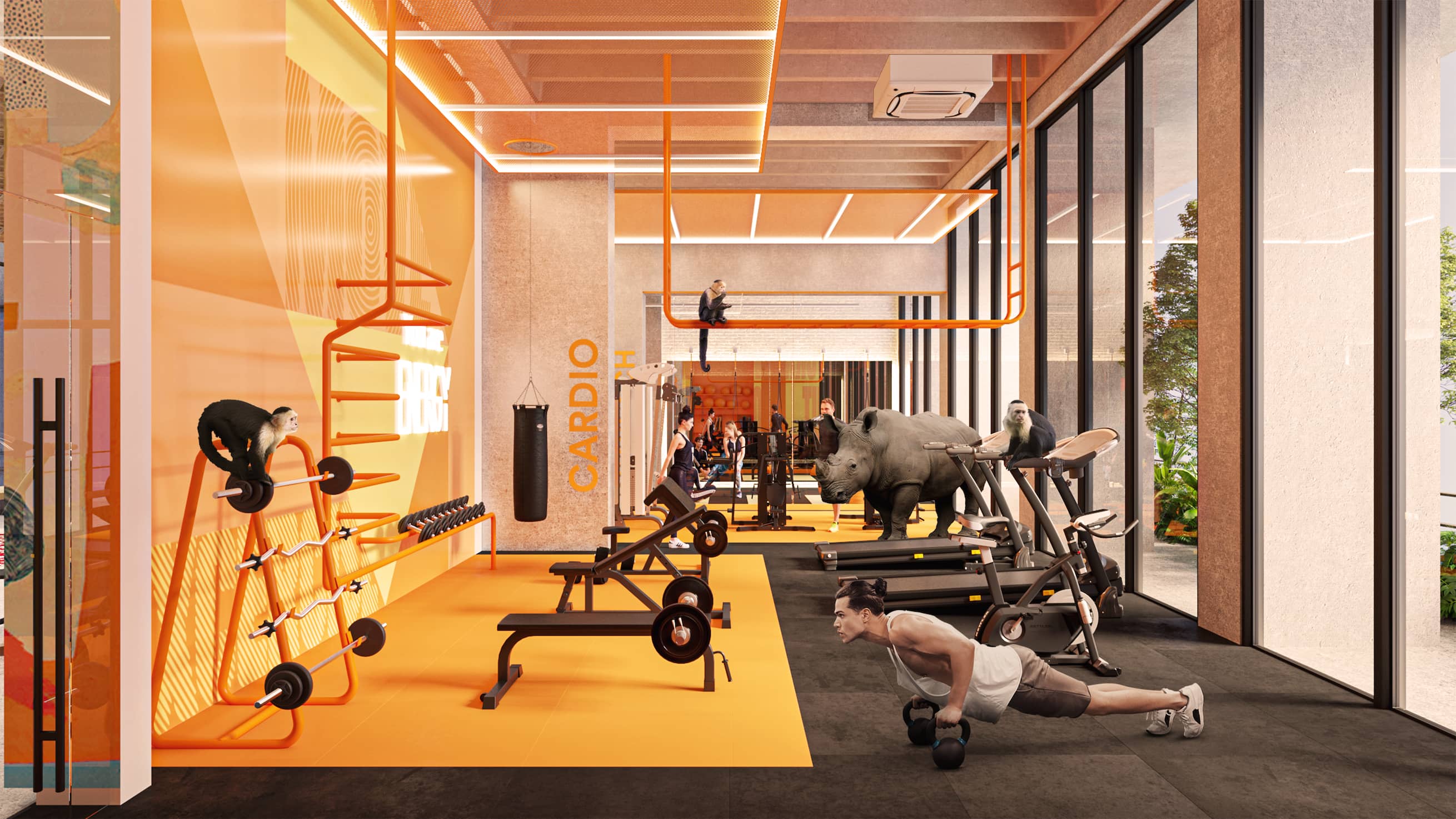 Shake - Gym