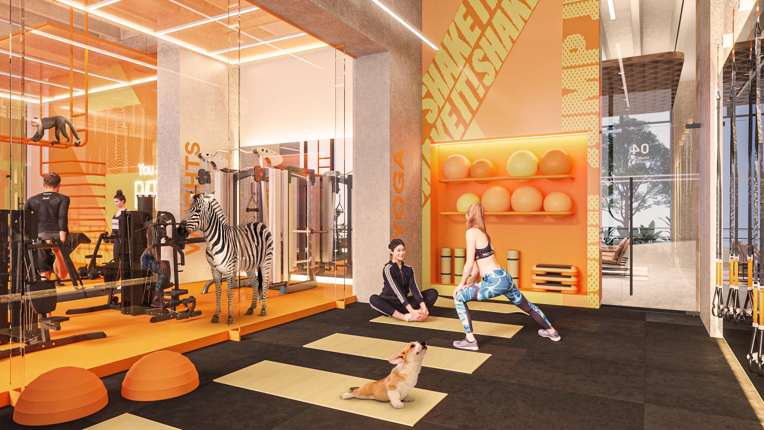 Shake - Fitness Room